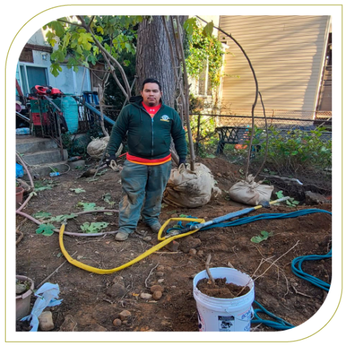 J&J Tree Management LLP. Professional Arborist in Long Island, Queens